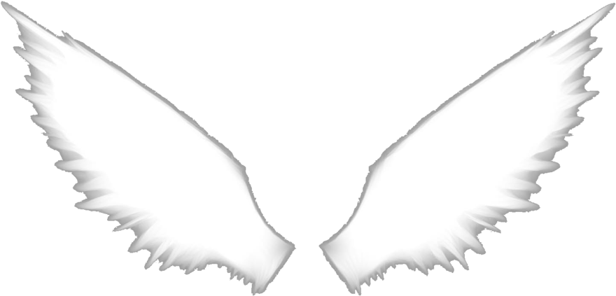 Angel Wings - Hōtarō Oreki (1024x640), Png Download