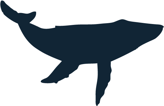 Blue Whale Silhouette At Getdrawings - Humpback Whale Whale Silhouette (600x506), Png Download