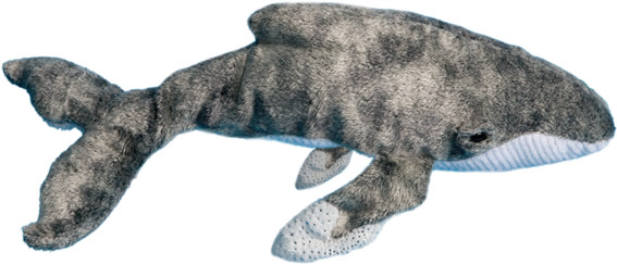 Wave Rider Humpback Whale - Toys Wave Rider Humpback Whale By Douglas (600x600), Png Download