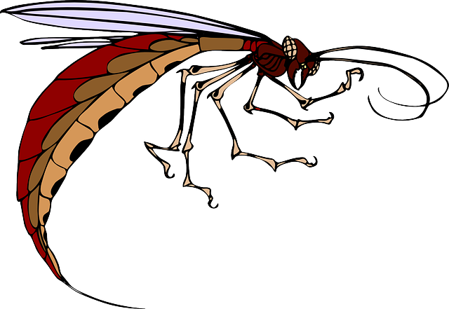 Cartoon, Body, Wings, Long, Insect, Legs, Antennae - Insectos Con Alas Y Antenas (640x441), Png Download