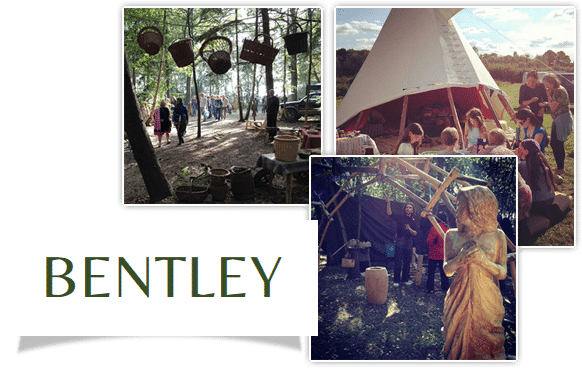 Leave - Tree (607x375), Png Download