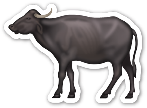 Water Buffalo - Whatsapp Emoji Buffalo (480x353), Png Download