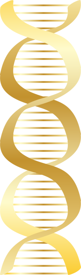 About 3600 Free Commercial & Noncommercial Clipart - Gold Dna Png (260x880), Png Download