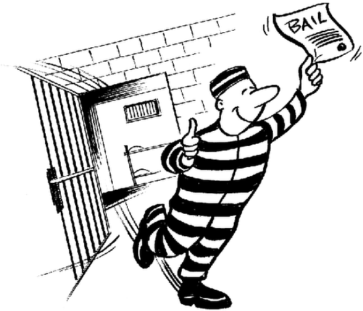 Photo - Excessive Bail Shall Not Be Required Nor Excessive (530x476), Png Download