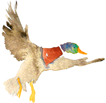 Making It Come True - Night (461x397), Png Download