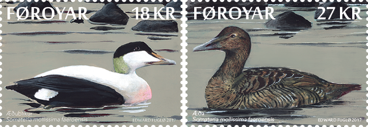 The Eider - Mallard (722x250), Png Download