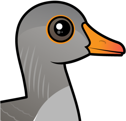 About The Greylag Goose - Greylag Goose Cartoon (440x440), Png Download
