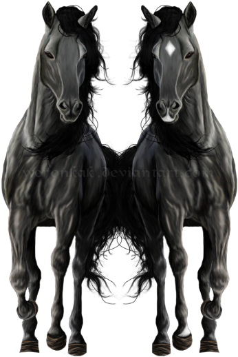 Horse Black For Png (425x600), Png Download