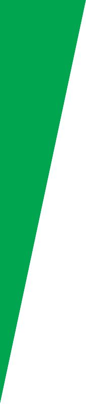 Green Triangle Top - Coevolve Northern Star (171x797), Png Download