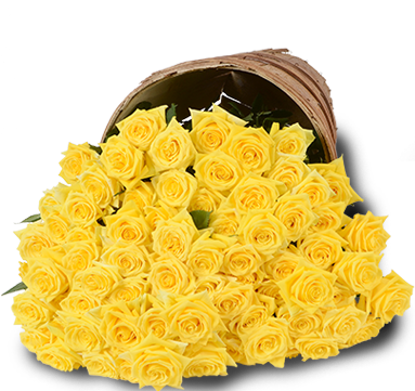 Yellow Roses - Bunch Of 100 Yellow Roses (382x382), Png Download
