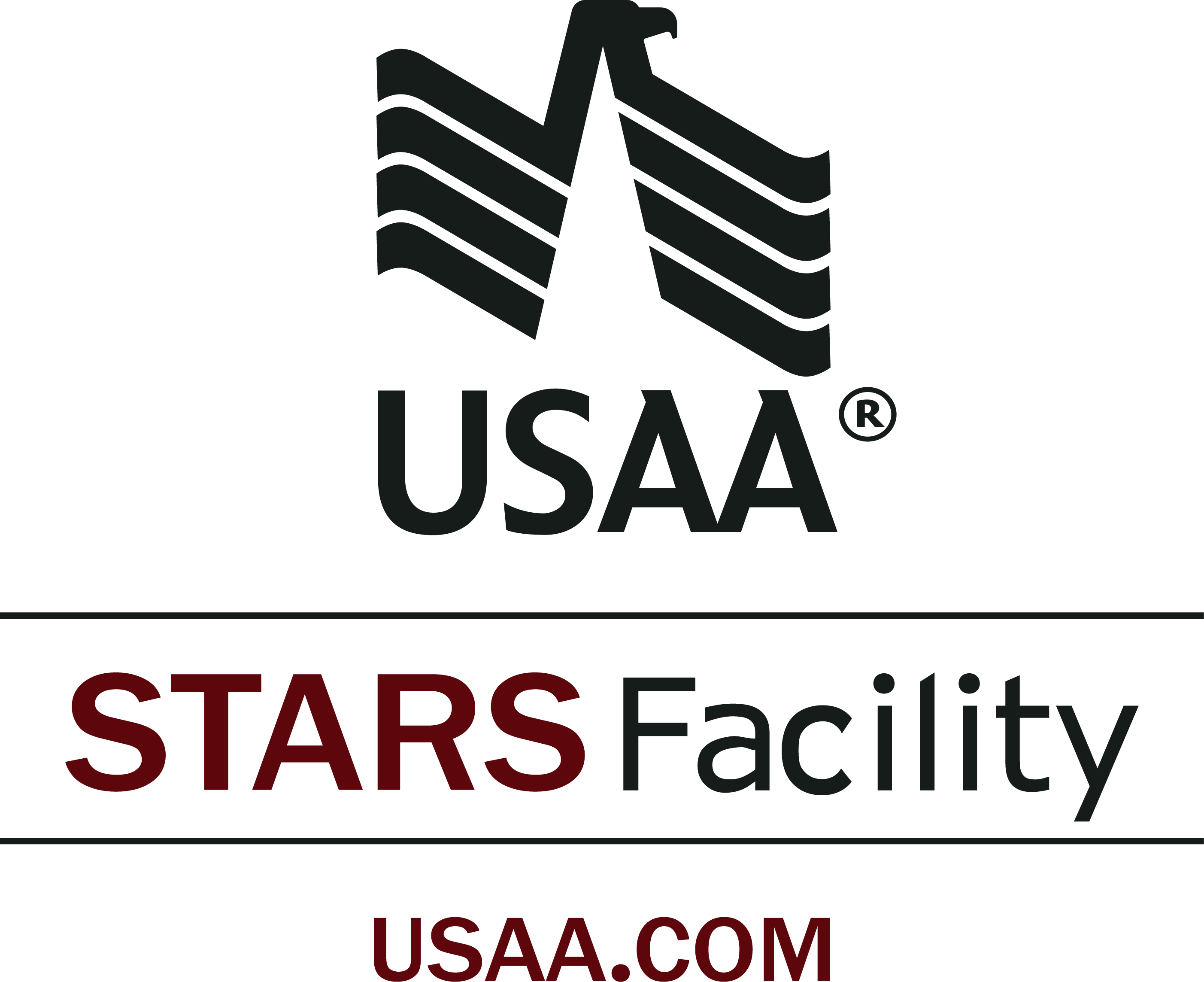 Usaa Stars Facility - Usaa Insurance (2805x2287), Png Download
