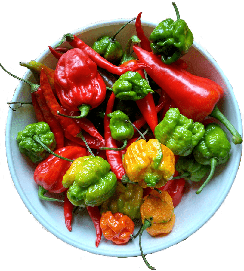 Fair Trade - Habanero (848x980), Png Download