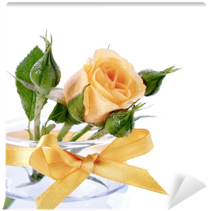 Stock Photography (400x400), Png Download