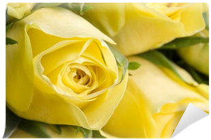 Close Up Image Of Beautiful Yellow Roses Wall Mural - Bloemen V.o.f. (400x400), Png Download