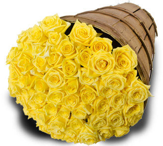 Yellow Roses - Floribunda (382x382), Png Download
