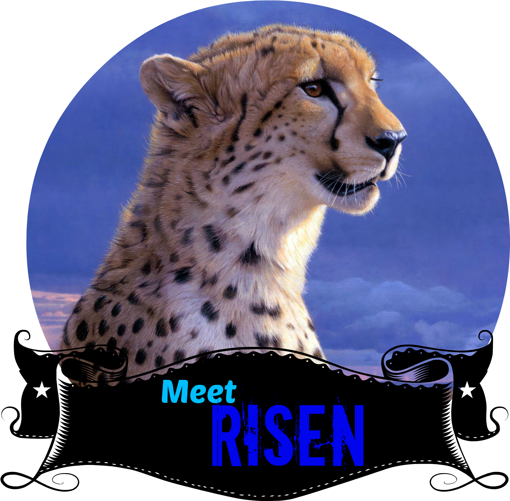 Meet Risen - Daniel Smith - African Tempest - Cheetah (1896x1710), Png Download