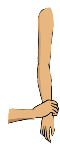 Image - Art (276x500), Png Download