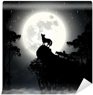 Coyote Yelps: Fifth Grade Pourquoi Tales [book] (400x400), Png Download