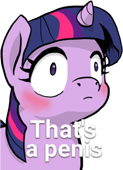 Twilight Sparkle Rarity Pinkie Pie Pony Pink Facial - My Little Pony Lewd (410x566), Png Download