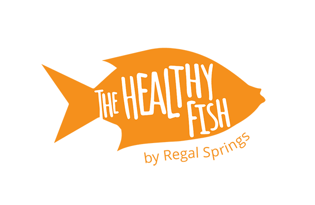 The Healthy Fish - Fish (640x417), Png Download