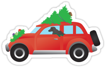 Afghan Hound Driving Vintage Red Car With Christmas - Golden Retriever-hund, Der Ein Auto - Baum Auf Die (375x360), Png Download