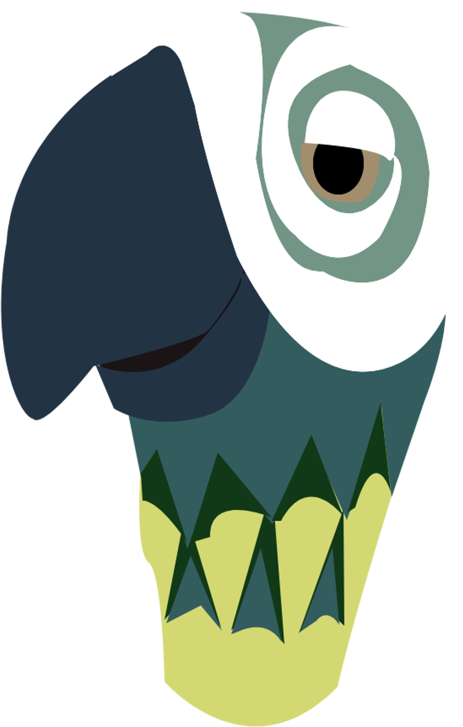 Mary Poppins Images Mary Poppins Parrot Umbrella Hd - Mary Poppins Parrot (2400x3200), Png Download