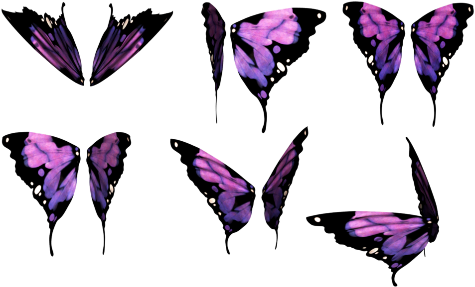 Butterfly Wing Png Picture Download - Butterfly (1024x698), Png Download