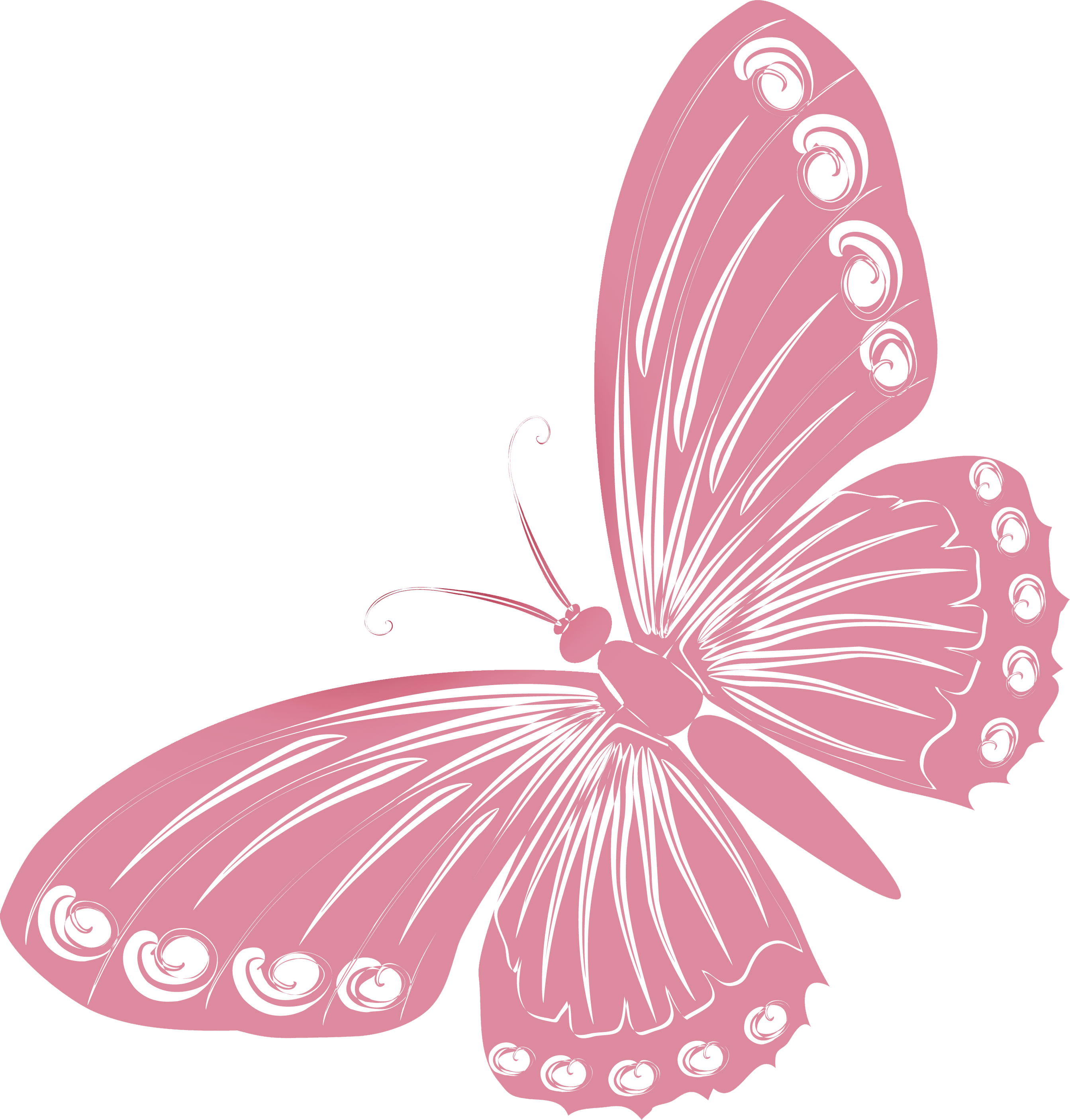 Pink Butterfly Png - Mariposas En Color Coral (2686x2812), Png Download