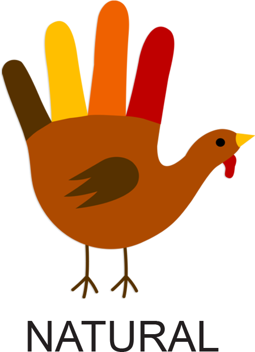 Turkey Buying For The Conscious Consumer - Turkey Made Out Of A Hand (654x786), Png Download