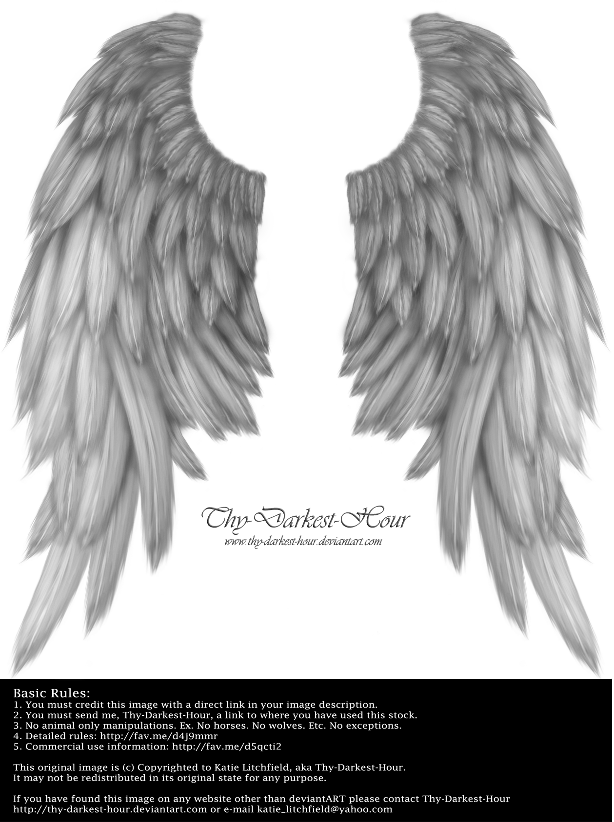 Wings Pngs By Thy Darkest Hour On Clipart Library - Gray Wings (1259x1686), Png Download