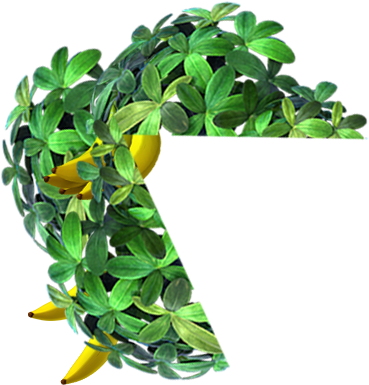Funky Kong - Donkey Kong Leaves Png (369x385), Png Download