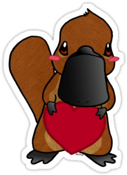 Cute Platypus By Olluga - Platypus (375x360), Png Download