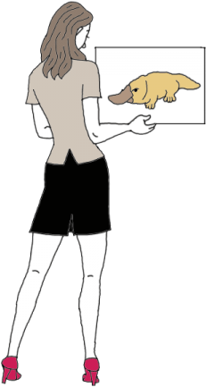 Platypus - Illustration (450x450), Png Download
