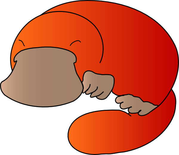 Orange Platypus (600x518), Png Download