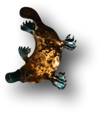 Copper Art Brooch ~ Platypus - Art (406x406), Png Download