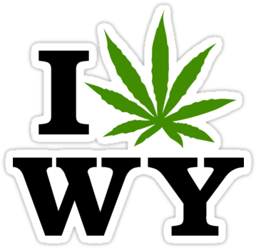 After College, I Got A Job In Houston, The "other Side - Washington Weed (375x360), Png Download