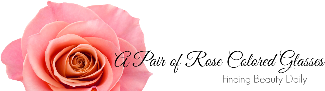 Elegante Hübsche Blume Der Vintagen Rosa Rose Postkarte (1100x300), Png Download