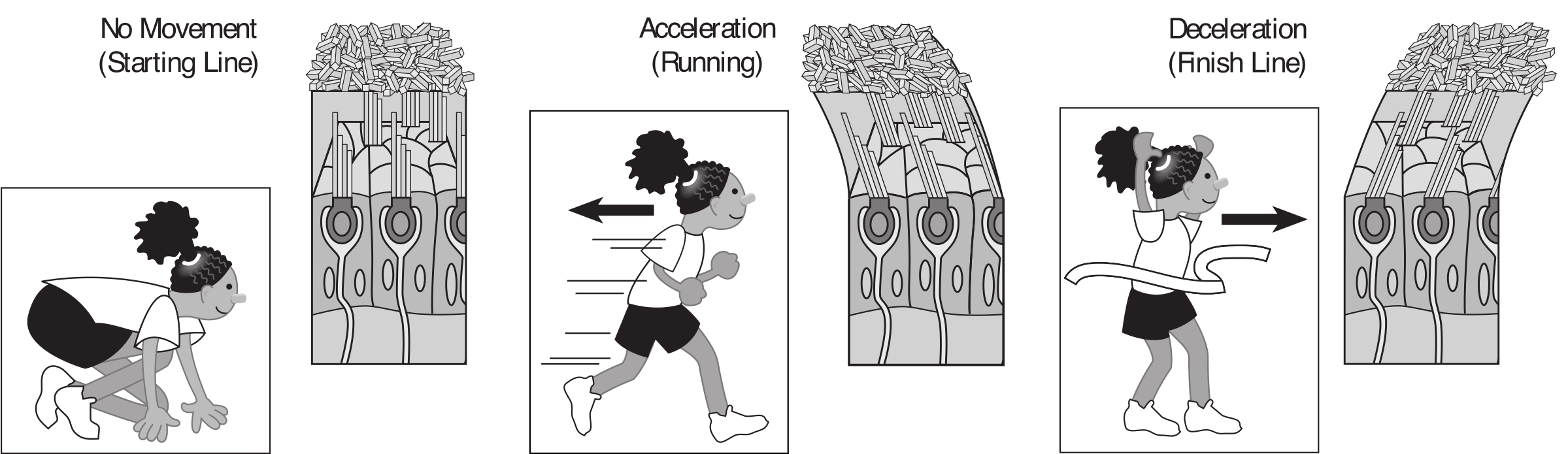 This Free Icons Png Design Of Kids Running With Muscle (2400x730), Png Download