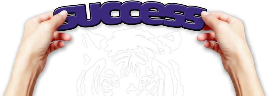 Success At Hope Online High School For Arizona Online - 64gb Strontium Nitro Plus Micro Sd (1024x331), Png Download