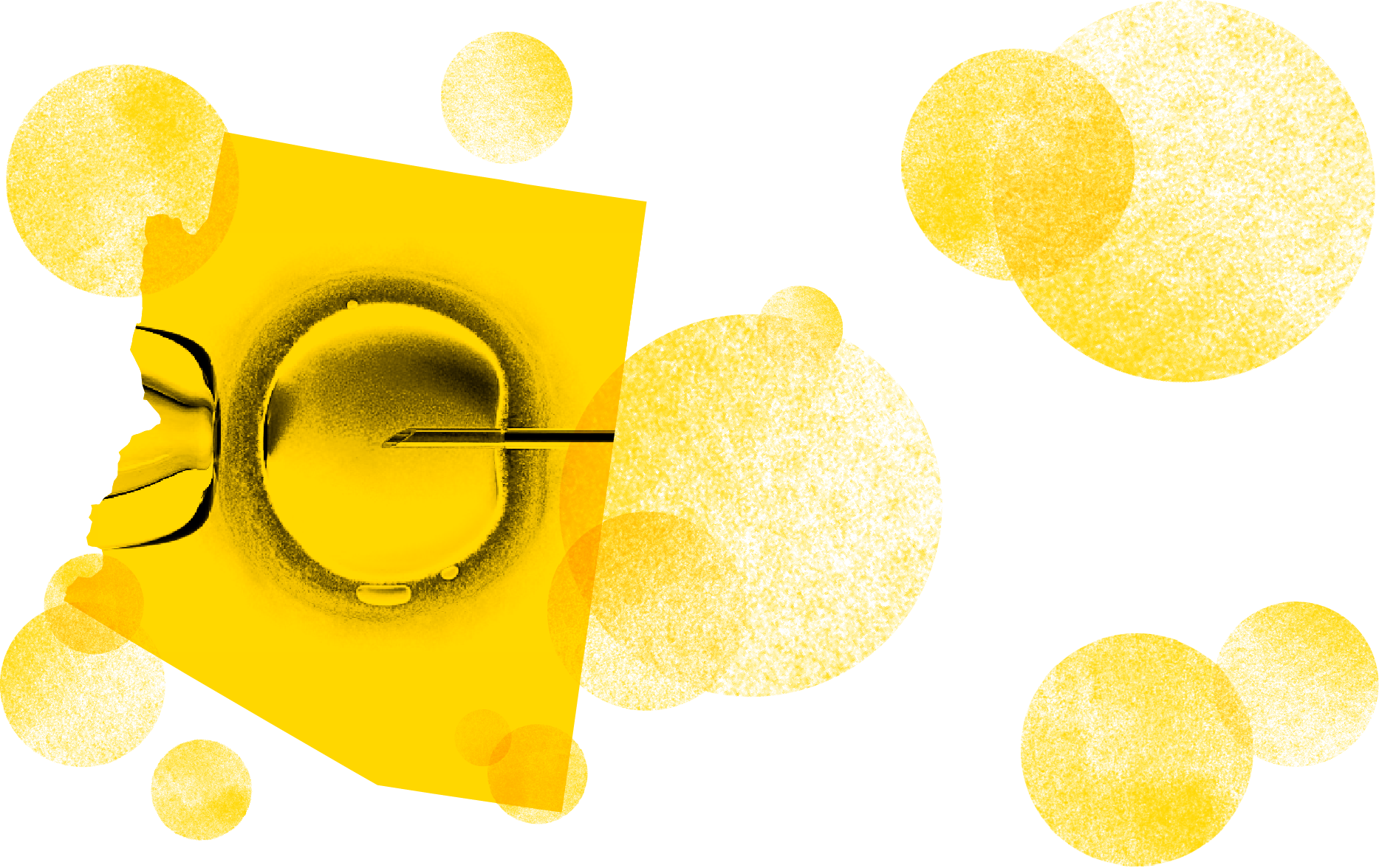 Arizona Law Says Your Ex Can Make Babies With Your - Circle (1867x1176), Png Download