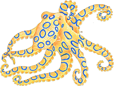 Blue Ring Octopus Yellow Pillow Case (504x504), Png Download