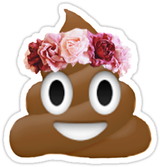 'flower Crown Poop Emoji - Emoji Poop (375x360), Png Download