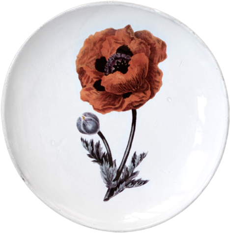 Eastern Poppy Flower Dinner Plate - Giclee Print: Gardener's Delight Art Print By Sydenham (500x500), Png Download