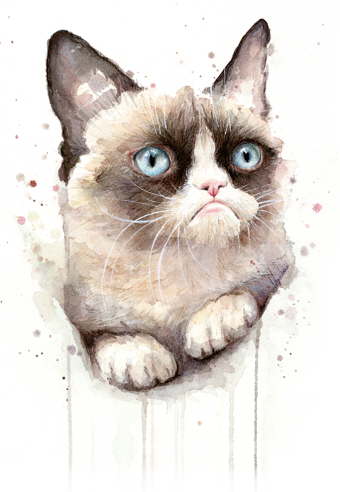 Grumpy Cat Watercolor (480x695), Png Download