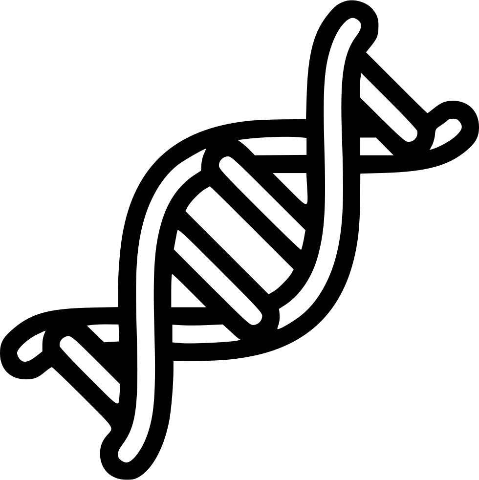Dna Helix Png - Dna Png (980x982), Png Download