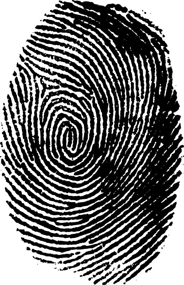 Download Fingerprint Transparent Png Clip - Fingerprint - HD