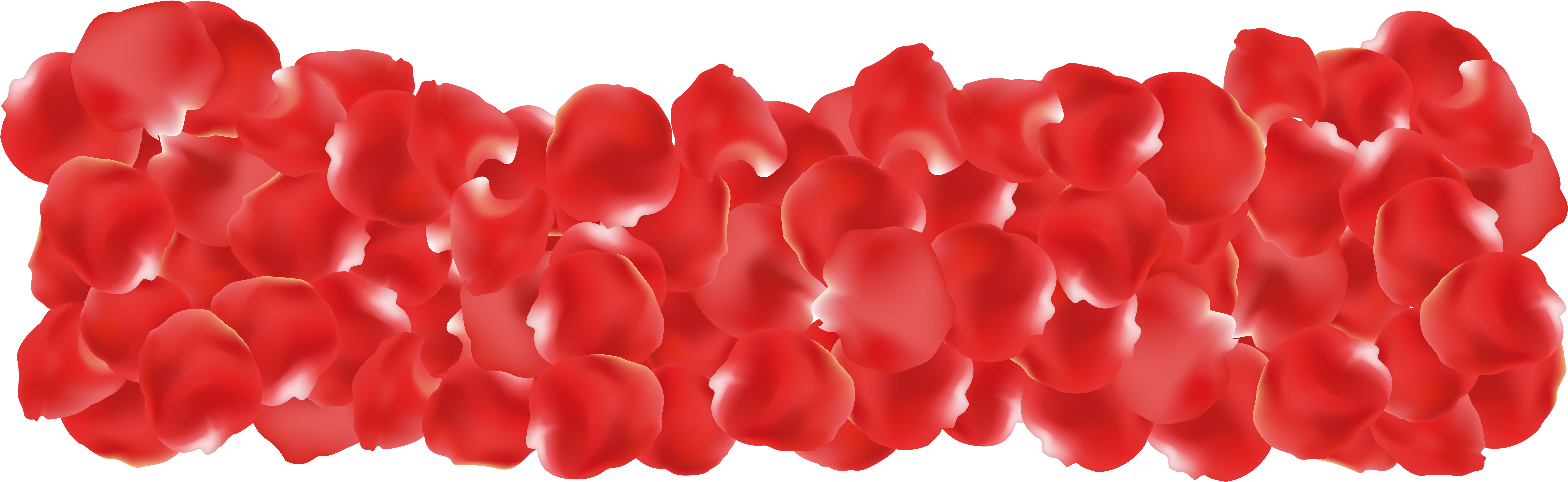 Red Rose Petals Clipart (8000x2507), Png Download