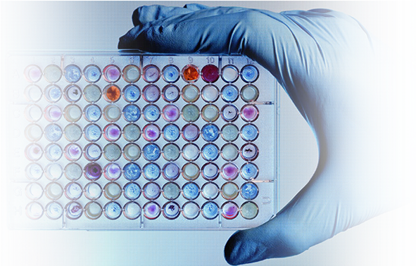 Medicinal Chemistry: Research And Innovation - Hardcover (624x377), Png Download