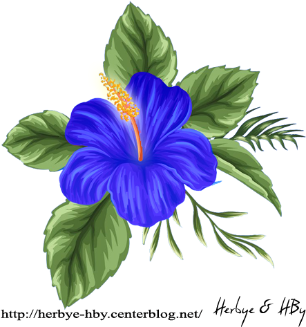Flowers Png Hibiscus Série - Painting (472x472), Png Download