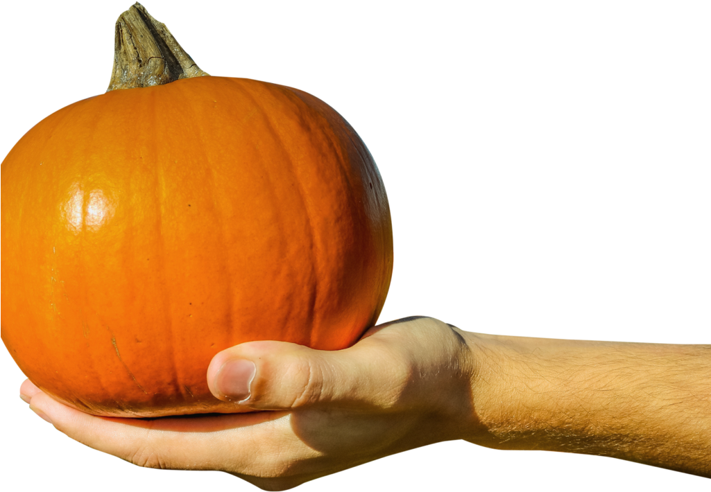 Hand Holding Orange Pumpkin Png Image - Hand Holding A Pumpkin (1024x768), Png Download